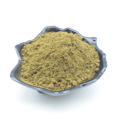Bester Preis Ajuga Turkestanica extrahieren reines Pulver Turkesterone 2% 10% Turkesterone