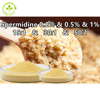 Weizenkeim-Auszug-Spermin-Pulver-Nahrungsmittelergänzung Spermidine 0,1% 0,5% 1%