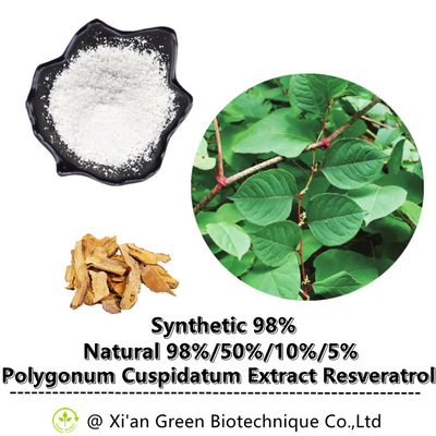99% Trans-Resveratrol-Pulver Polygonum Cuspidatums-Wurzel-Auszug