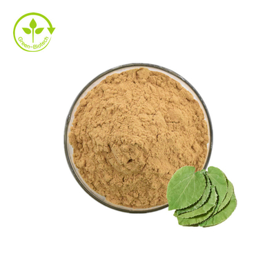 Epimedium-pulverisieren horniger Ziegen-Unkraut-Auszug Icariin 10% - 98%