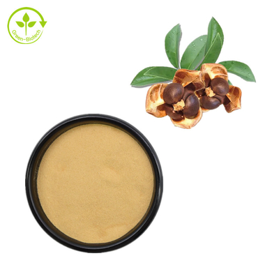 60% Tee-Saponin Camellia Japonica Seed Extract Powder für Zufuhr-Zusatz