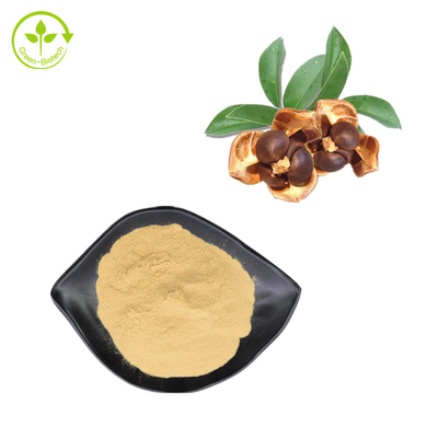 60% Tee-Saponin Camellia Japonica Seed Extract Powder für Zufuhr-Zusatz