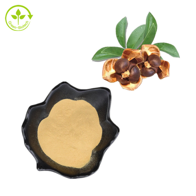 100% natürliches Camellia Seed Extract 95% Tee-Saponin-Pulver