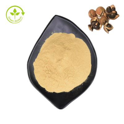 Natürliches Tee-Saponin Camellia Sinensis Seed Extracts 98% für Nahrung