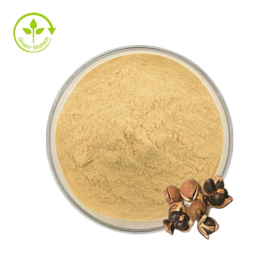 Natürliches Tee-Saponin Camellia Sinensis Seed Extracts 98% für Nahrung