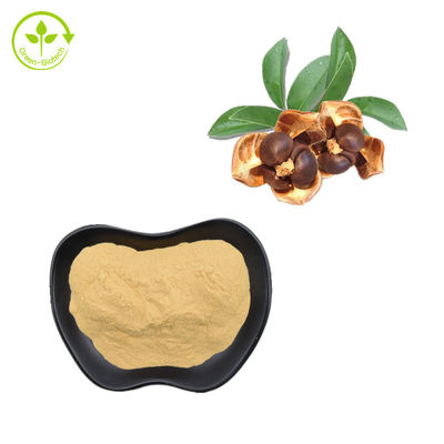 Tee-Samen-Auszug-natürliches Saponin pulverisieren 90% für Kosmetik