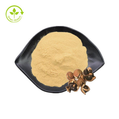 Tee-Samen-Auszug-natürliches Saponin pulverisieren 90% für Kosmetik