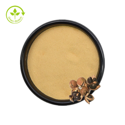 Camellia Sinensis Seed Extract Tea-Saponin pulverisieren 50% 60% 70% 80% 85% 90% 95% 98%