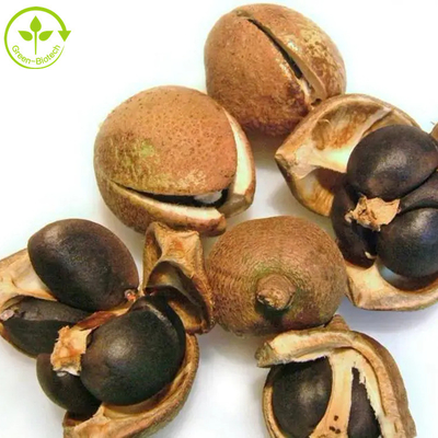 Camellia Sinensis Seed Extract Tea-Saponin pulverisieren 50% 60% 70% 80% 85% 90% 95% 98%