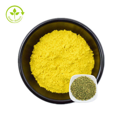 Nahrungsmittelgrad Sophora Japonica extrahieren 95% reines Quercetin-Pulver