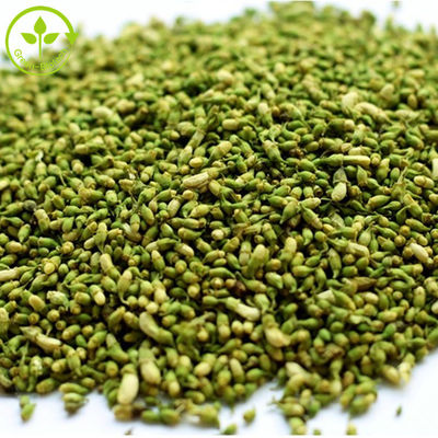 Nahrungsmittelgrad Sophora Japonica extrahieren 95% reines Quercetin-Pulver