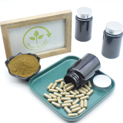 Reine Kapseln der Ajuga Turkestanica-Auszug-Ergänzungs-10% 40% 500mg Turkesterone