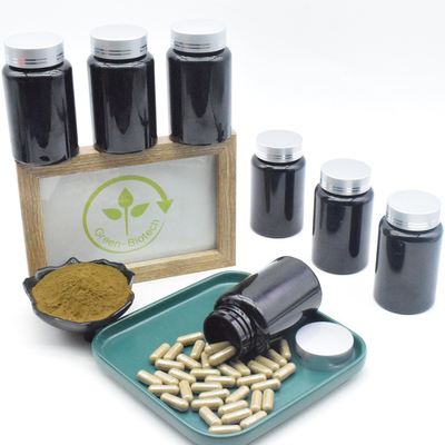 Ajuga Turkestanica extrahieren Kapseln 500mg 10% Turkesterone für Muskel-Ergänzung