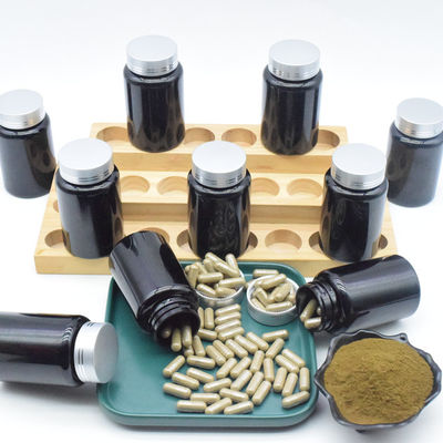 500mg Ajuga Turkestanica extrahieren Kapseln für Bodybuilding