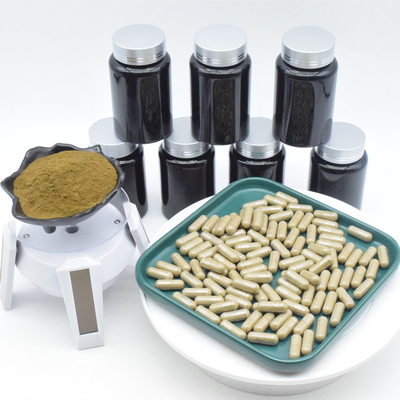 Natürliches Pulver/Kapsel/Getränk/Tablet/Tee der Pflanzenauszug-10% Turkesterone