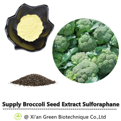 Pulver Brokkoli-Samen-Auszug Sulforaphane-Glukosinolat CASs 21414-41-5 13% Glucoraphanin