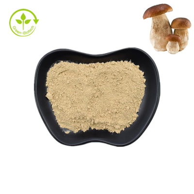 Natürliches reines Boletus-Pulver 99% Penny Bun Porcini Mushroom Extracts