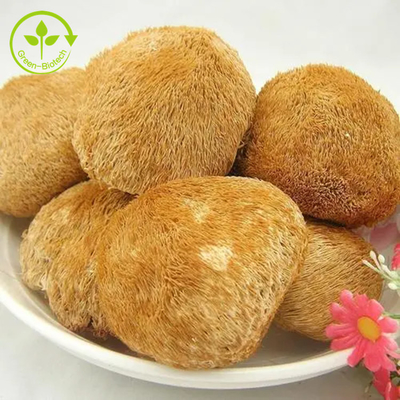 Organische Löwen Mane Mushrooms Mycelium Extract Powder für Tee/Matcha/Kaffee