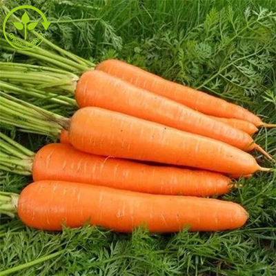 Lebensmittel-Zusatzstoffe, die Ferment Beta Carotene Powder 10% färben