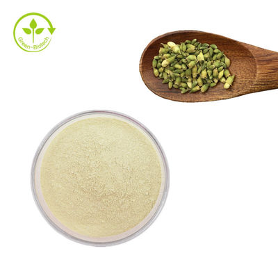 Fabrik-Versorgung Sophora japonica Auszug Rutin 95% Sophora Japonica-Auszug-Rutin-Pulver