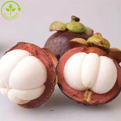 Reines natürliches Auszugpulver der Mangostanfrucht-Auszugmangostanfrucht p.e-alpha-mangostin 10%-90% Alpha Mangostin