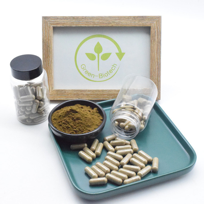Reine Kapseln der Ajuga Turkestanica-Auszug-Ergänzungs-2% 10% 40% 500mg Turkesterone