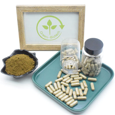 Ajuga Turkestanica-Auszug Turkesterone Turkesterone 500mg kapselt Turkesterone-Kapseln ein