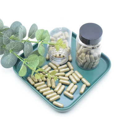 Pflanzenauszug Ajuga Turkestanica-Auszug pulverisieren 40% 500mg/60caps/Bottle Turkesterone Kapseln