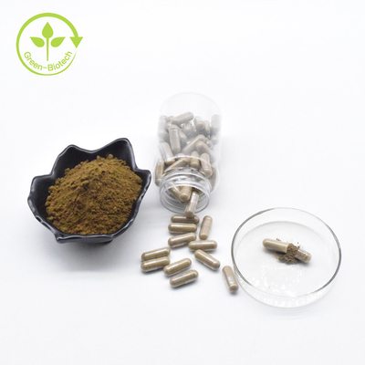 Fabrik-Großhandel kapselt reiner Pulver-Eigenmarke Ajuga Turkesterone Turkesterone 40% 500mg ein