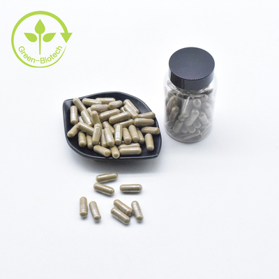 Fabrik-Großhandel kapselt reiner Pulver-Eigenmarke Ajuga Turkesterone Turkesterone 40% 500mg ein