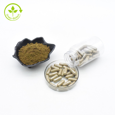 Body Building-Ergänzungen Turkesterone ergänzen Ajuga 500mg Turkesterone-Kapseln