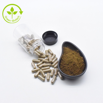 Pflanzenauszug Ajuga Turkestanica-Auszug pulverisieren 10% 500mg/60caps/Bottle Turkesterone Kapseln