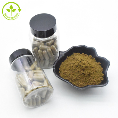 Pflanzenauszug Ajuga Turkestanica-Auszug pulverisieren 10% 500mg/60caps/Bottle Turkesterone Kapseln