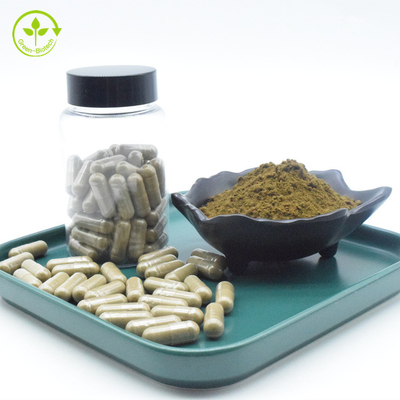 Ajuga Turkestanica-Auszug kapselt Turkesterone Hydroxypropanol- Beta Cyclodextrin Capsule 2% 10% ein