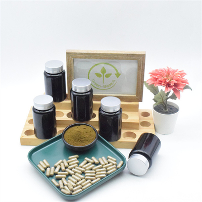 100% natürlicher Ajuga, den Turkestanica Turkesterone 10% extrahieren, kapselt reines Turkesterone-Pulver ein
