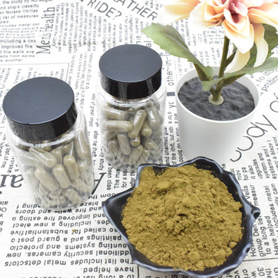 Großhandelsmassen100% reiner 2% 10% Ajuga Turkestanica-Auszug pulverisieren Turkesterone-Pulver