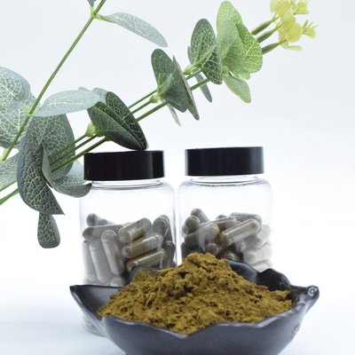 Großhandelsmassen100% reiner 2% 10% Ajuga Turkestanica-Auszug pulverisieren Turkesterone-Pulver