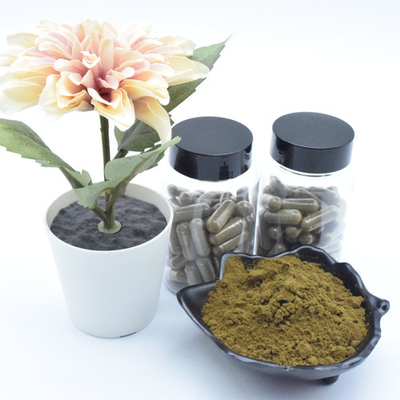 Ergänzung pulverisieren reiner Ajuga Turkestanica-Auszug 40% 500mg Turkesterone Kapseln