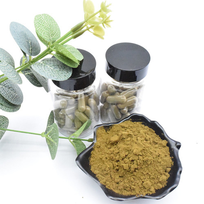 Kräuterauszug Ajuga Turkestanica extrahieren Turkesterone-Pulver