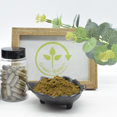 100% natürlicher Turkesterone Pulver 2% 10% 40% Ajuga Turkestanica-Auszug