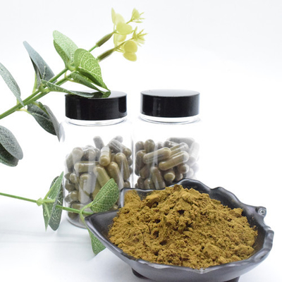 Hochwertiger Ajuga Turkesterone pulverisieren 10 Turkesterone der Auszug Turkesterone-Pflanzenauszug