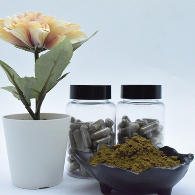 Reines Ajuga turkestanica Auszug turkesterone 2% 10% 40% turkesterone Pulver