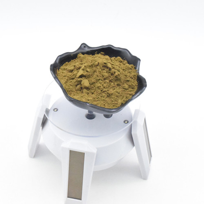Reines Ajuga turkestanica Auszug turkesterone 2% 10% 40% turkesterone Pulver