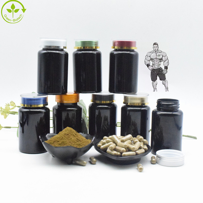 Natürlicher organischer Ajuga Turkestanica-Auszug pulverisieren 10% Turkesterone Kapseln