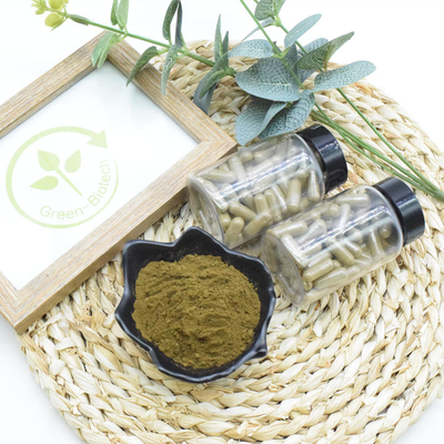 Nahrungsmittelergänzung Ajuga Turkestanica extrahieren 10% 20% Turkesterone Pulver