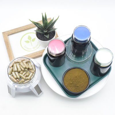 Kräuterauszüge Turkesterone extrahieren 10% Turkesterone Pulver für Ergänzung
