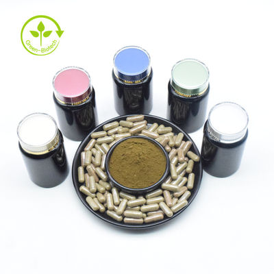 Kräuterauszüge Turkesterone extrahieren 10% Turkesterone Pulver für Ergänzung