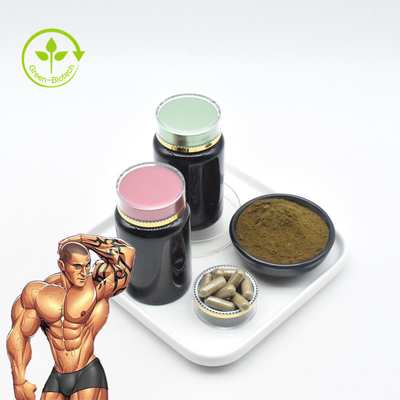 100% natürlicher Ajuga, den Turkestanica Turkesterone 10% extrahieren, kapselt reines Turkesterone-Pulver ein