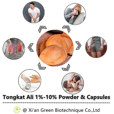 Organische Ausdauer u. Energie Tongkat Ali Capsules Eurycoma Longifolia Tongkat Ali Root Extract Capsules Supports