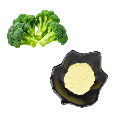 Organischer Brokkoli-Massensprössling pulverisieren Brokkoli-Samen-Auszug der Ergänzungs-DL-Sulforaphane
